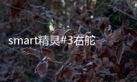 smart精灵#3右舵版在印尼车展亮相 全球布局持续拓展